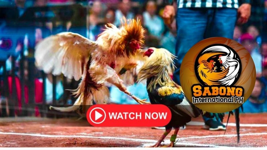 www hahaha 777 cheltenham festival who to bet on